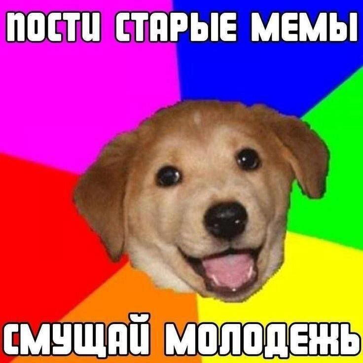 Пят нит нит ца Дичкииии