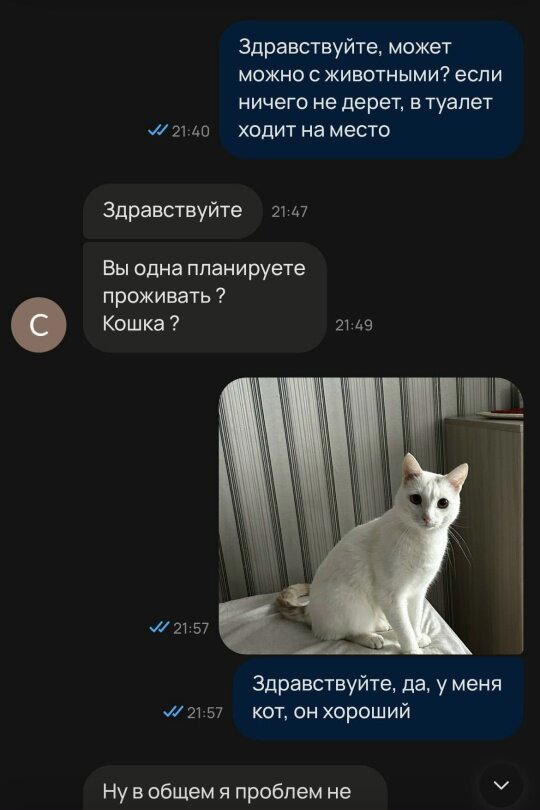 Пят нит нит ца Дичкииии