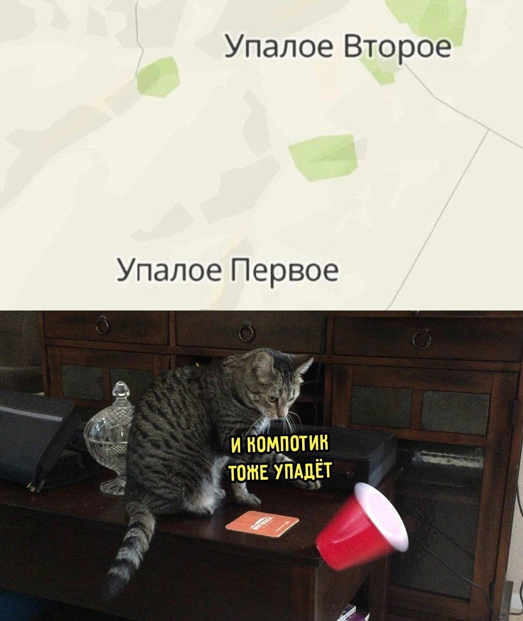 Пят нит нит ца Дичкииии