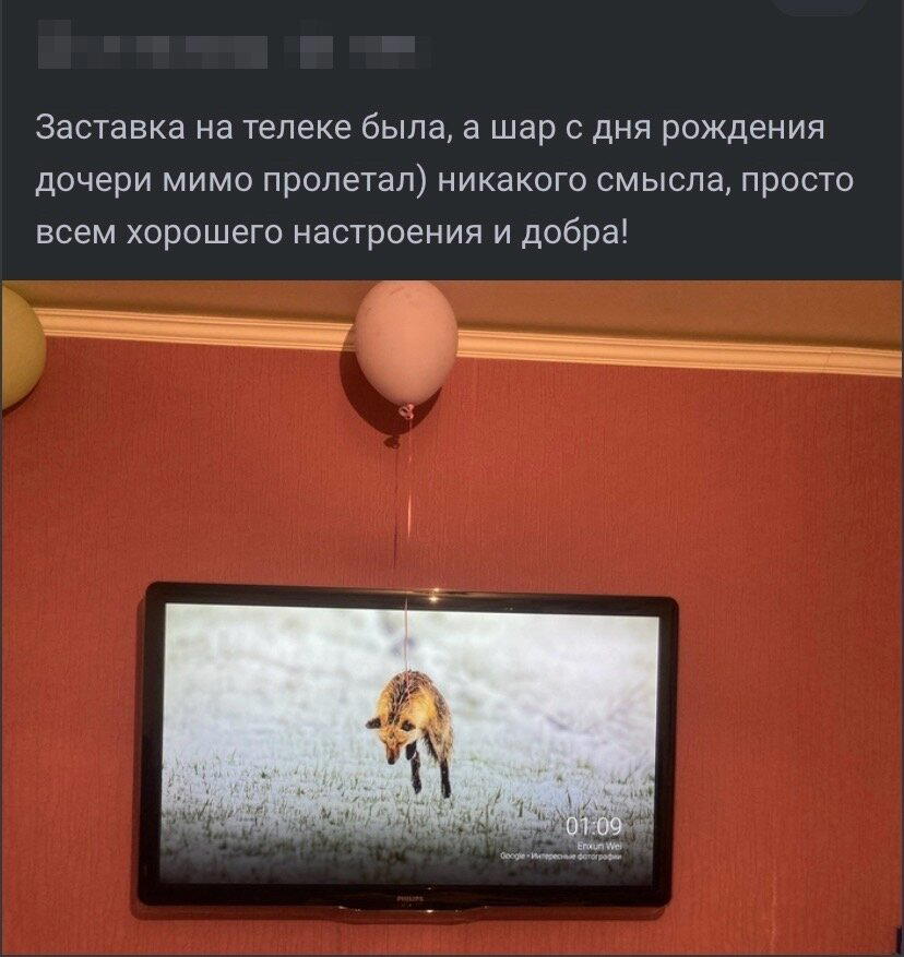 Пят нит нит ца Дичкииии