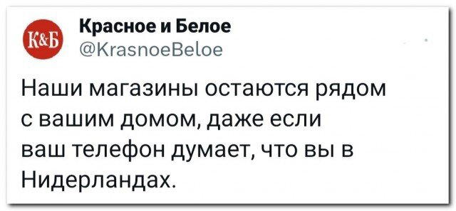 Пят нит нит ца Дичкииии