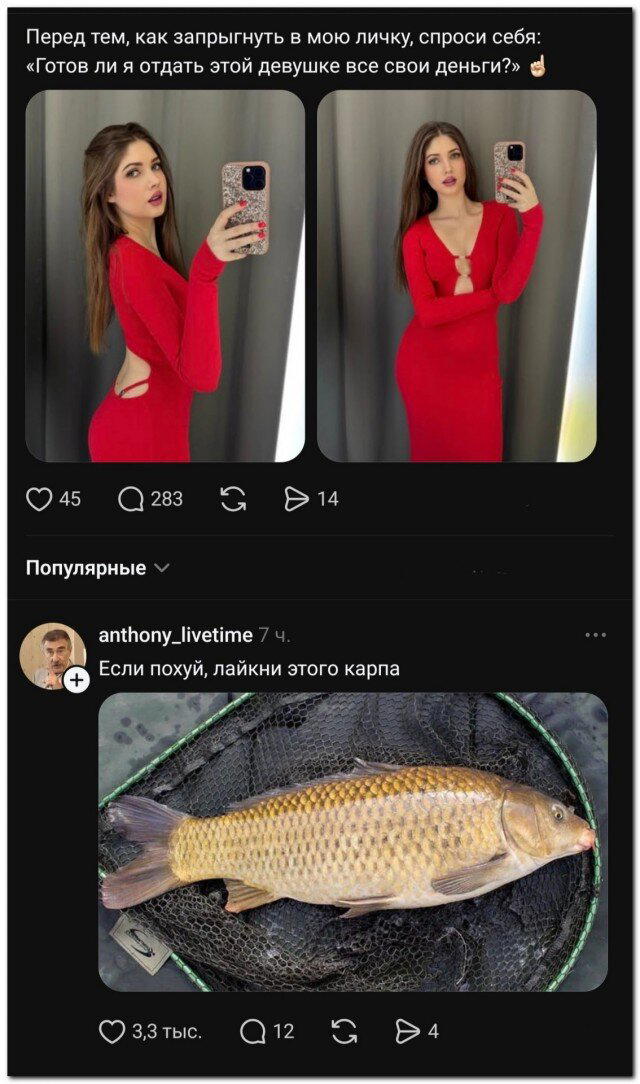 Пят нит нит ца Дичкииии