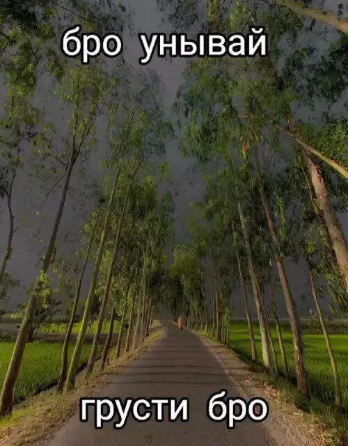 Пят нит нит ца Дичкииии