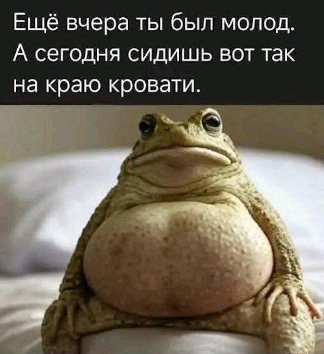 Пят нит нит ца Дичкииии