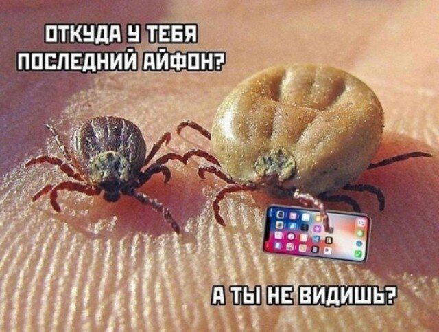 Субботняя дичка раняя