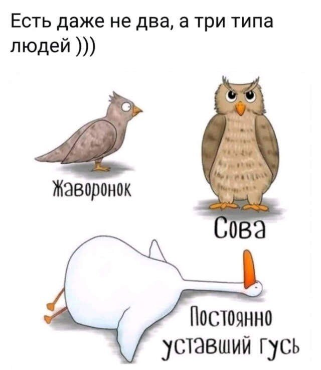 Да