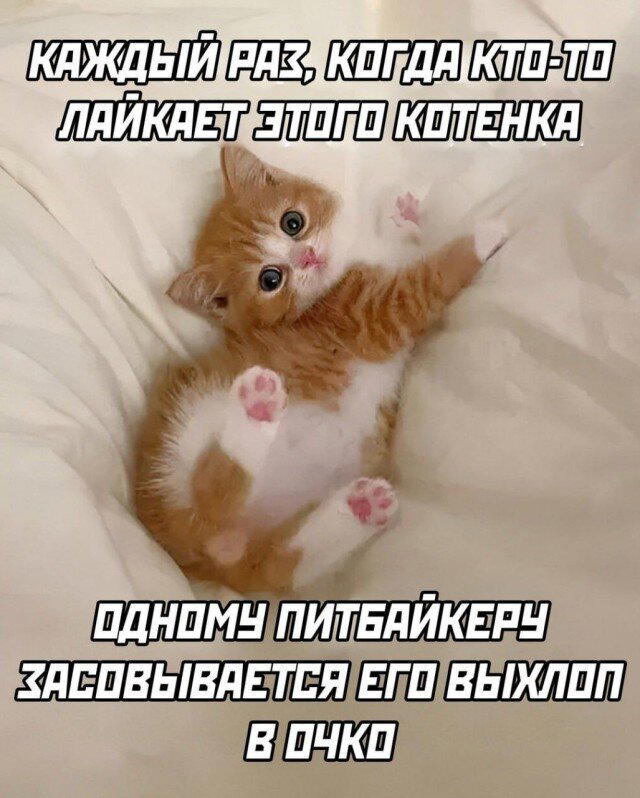 Субботняя дичка раняя