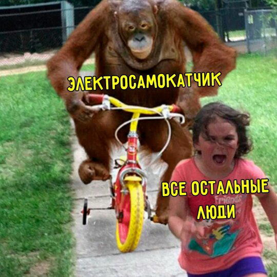 Дичка в субботний день