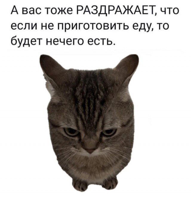 Дичка в субботний день