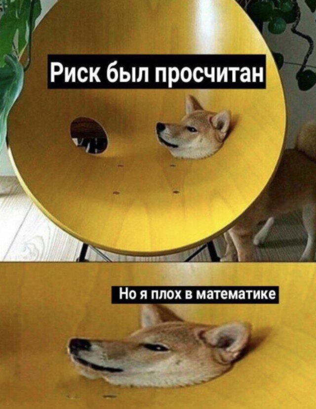 Дичка в субботний день
