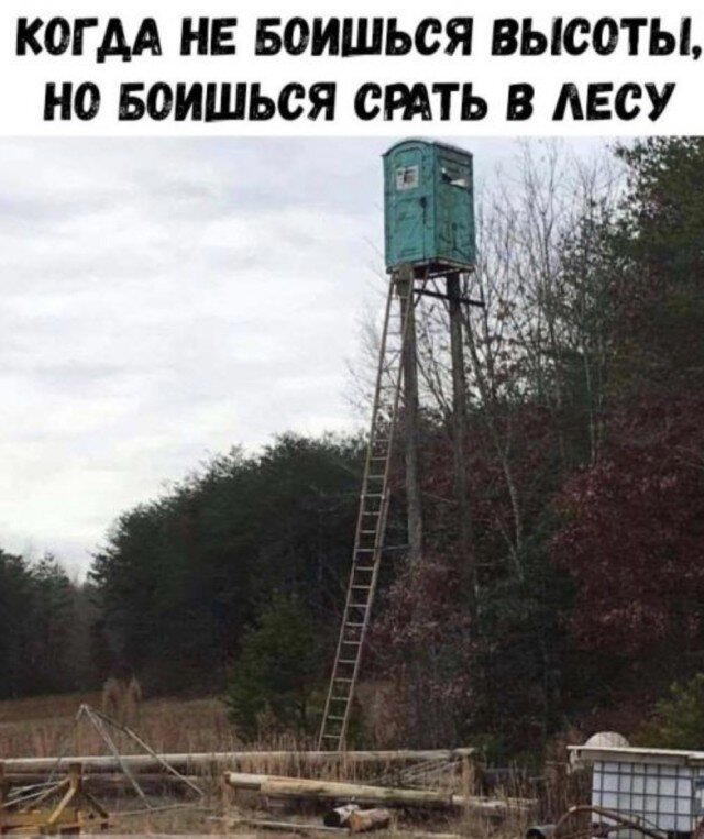 Дичка в субботний день