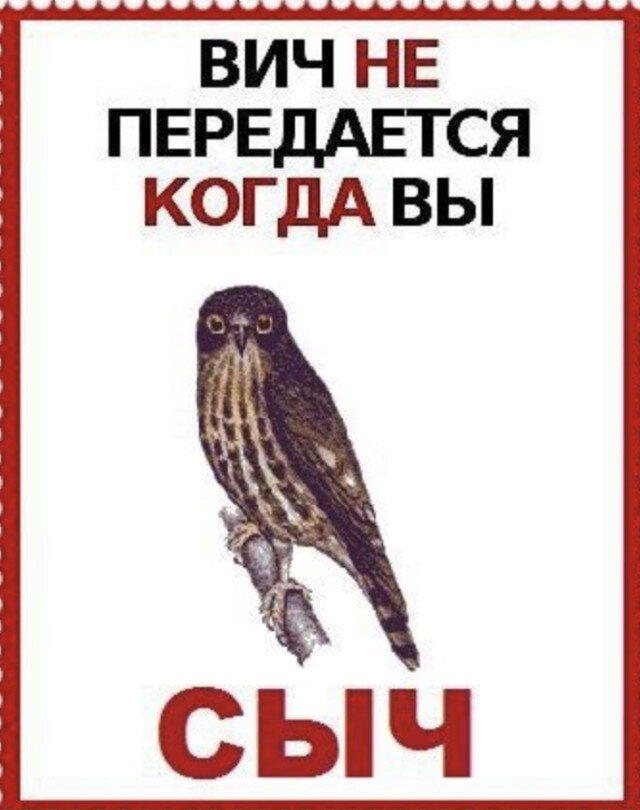 Дичка в субботний день