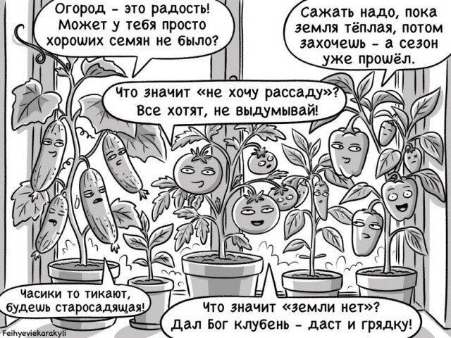 Дичка в субботний день
