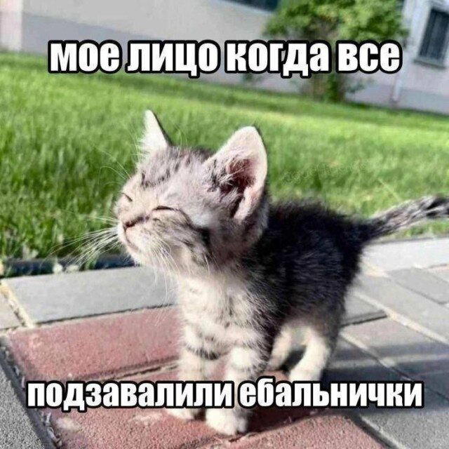 Дички маяк понедельника трудной недели пост