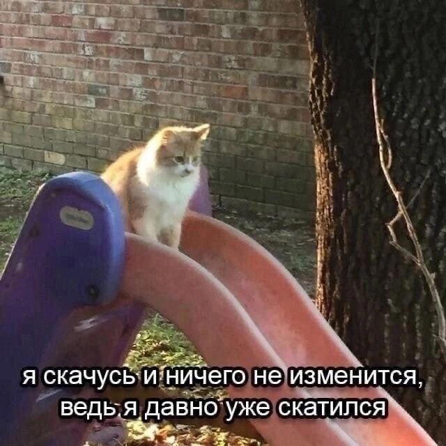 Дички маяк понедельника трудной недели пост