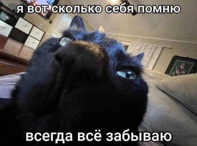 Дички маяк понедельника трудной недели пост