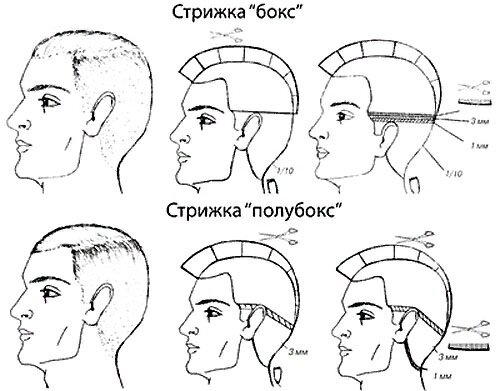 Ивент Бокс