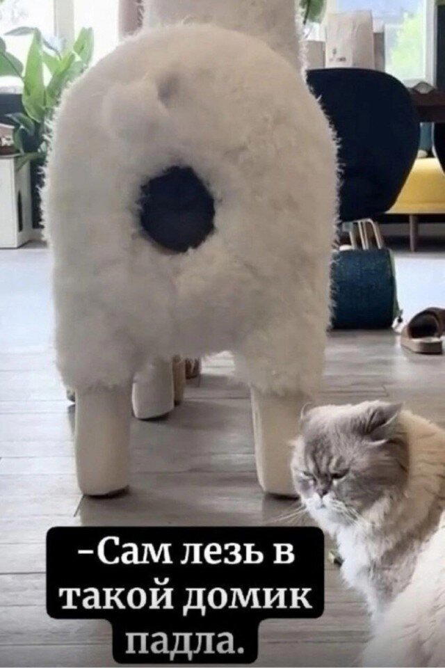 Сам