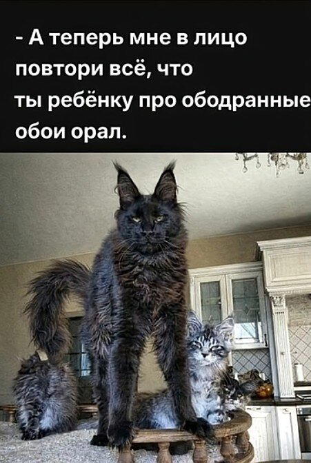 Дички вам на эту недельку