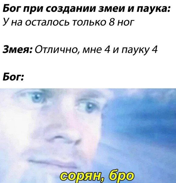 Дички вам на эту недельку