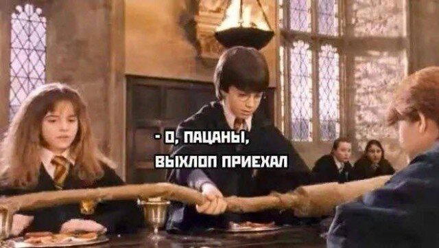 Дички вам на эту недельку