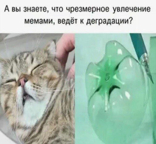 Дички вам на эту недельку