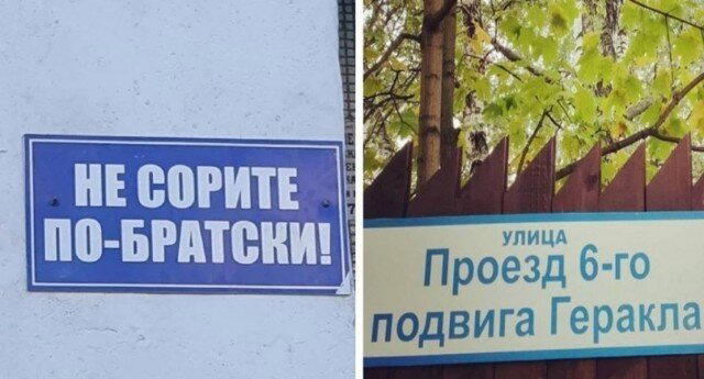 Дички вам на эту недельку