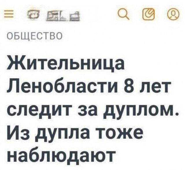 Проснитесь утром с улыбкой от старой дички