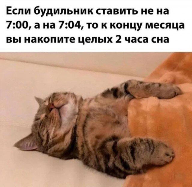 На ночь глядя дички Надя