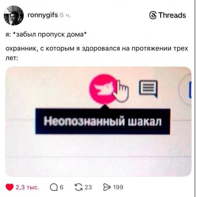 На ночь глядя дички Надя