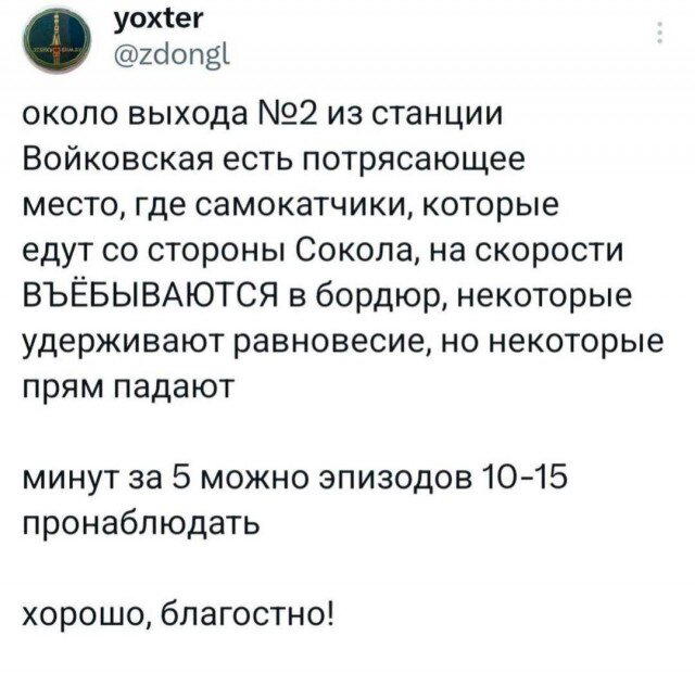 На ночь глядя дички Надя