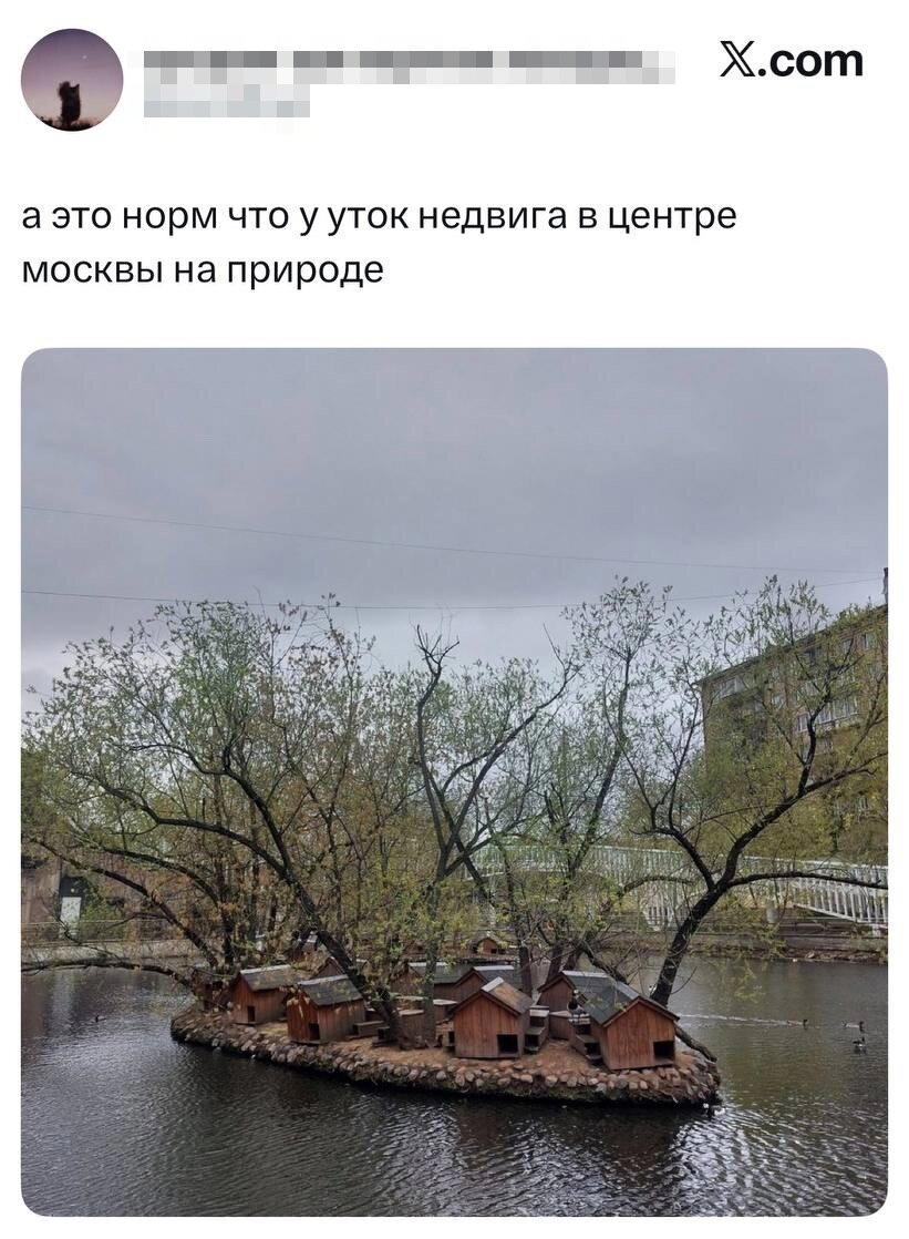 На ночь глядя дички Надя
