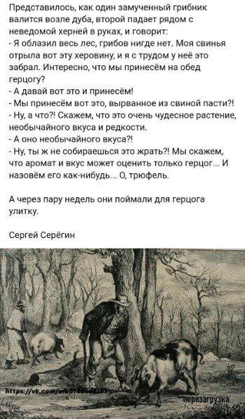 Дичка исправленная верная