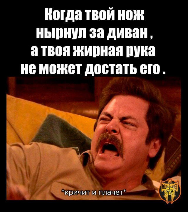 Дичка исправленная верная