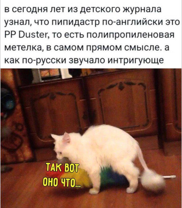 Дичка исправленная верная