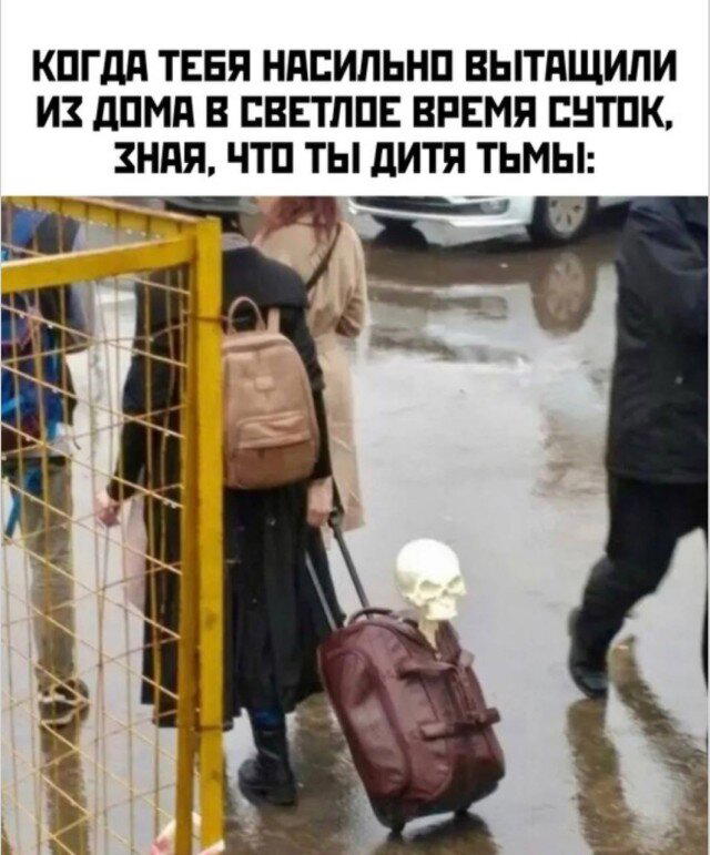 Дичка исправленная верная