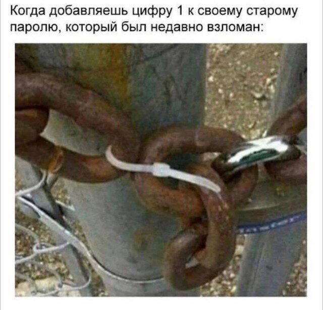 Дичка исправленная верная