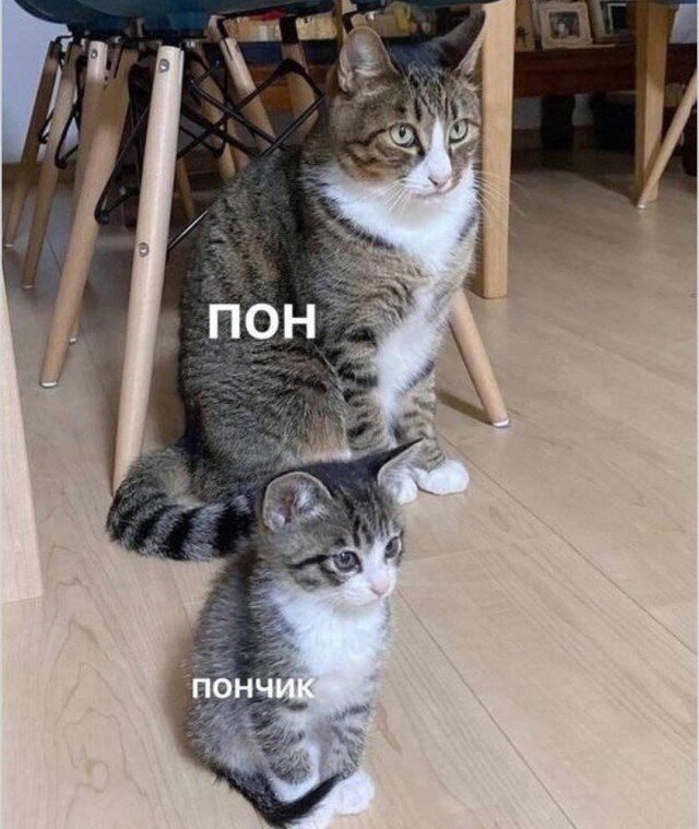 Дичка исправленная верная
