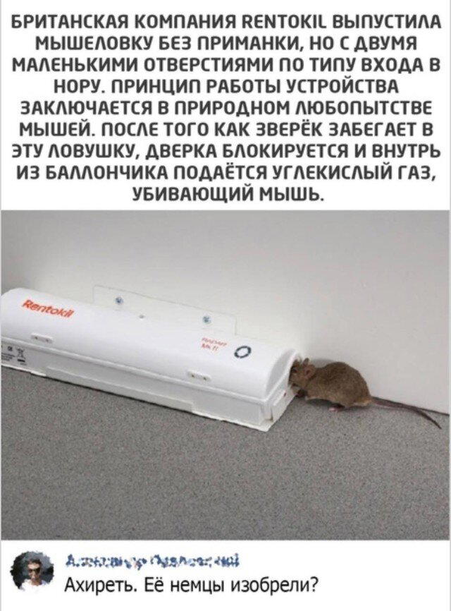 Дичка исправленная верная