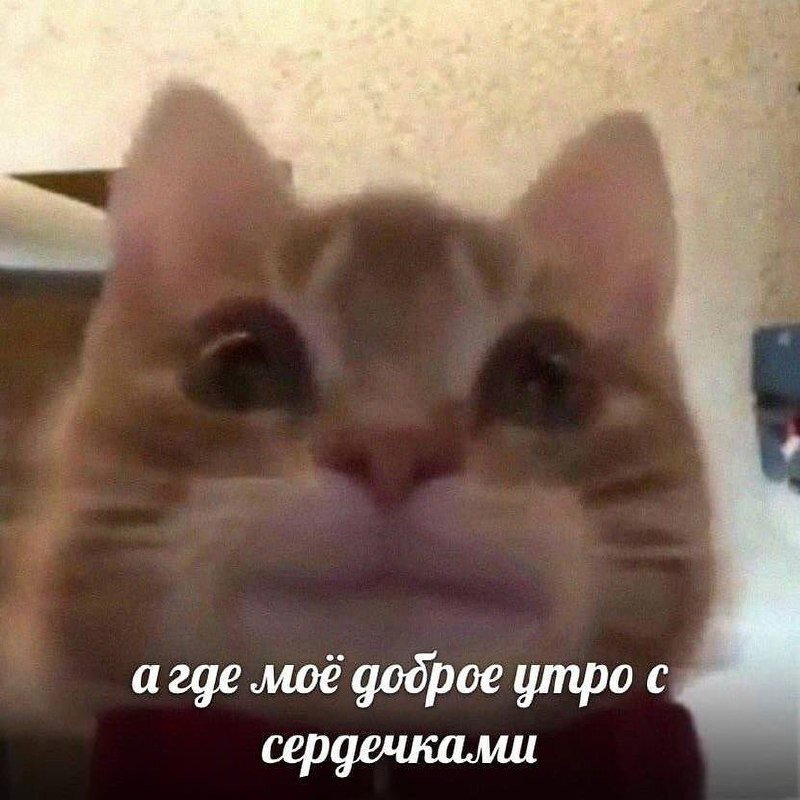 А не долбануть ли нам дички?
