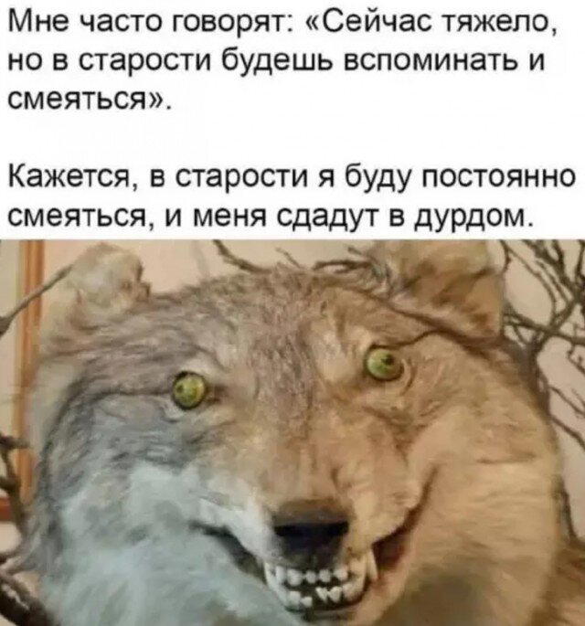 А не долбануть ли нам дички?