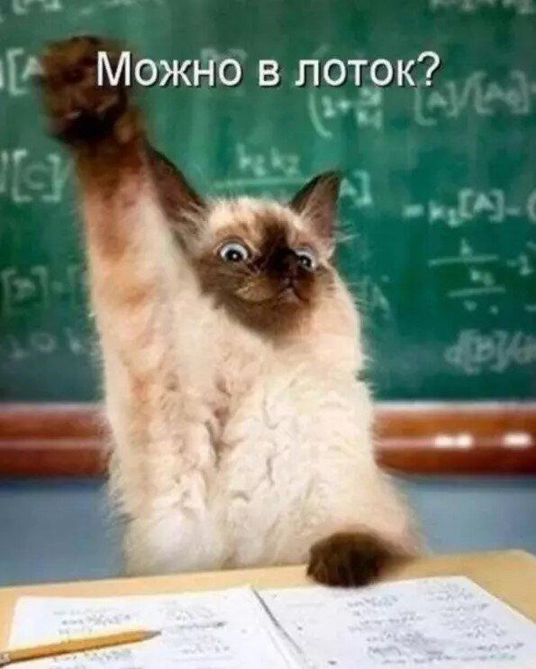 А не долбануть ли нам дички?