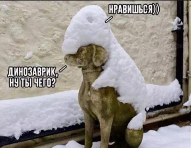 А не долбануть ли нам дички?