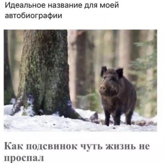 А не долбануть ли нам дички?
