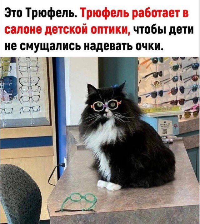 Дидидичко