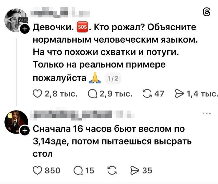 Дичка по закусь кусь