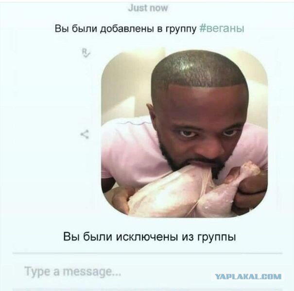 Дичка по закусь кусь