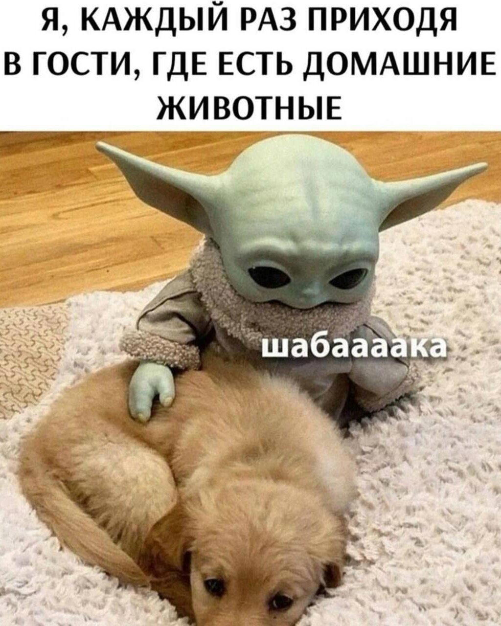 Дичка по закусь кусь