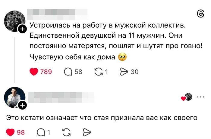 Дичка по закусь кусь