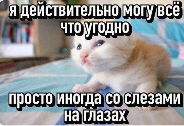 Дичкин вкус хрустит